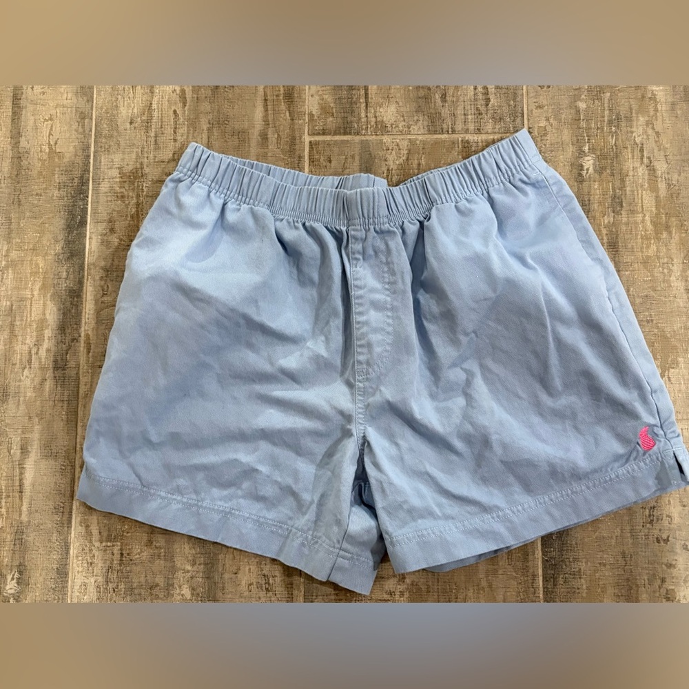 Chubbies Sky Blue Dad Shorts